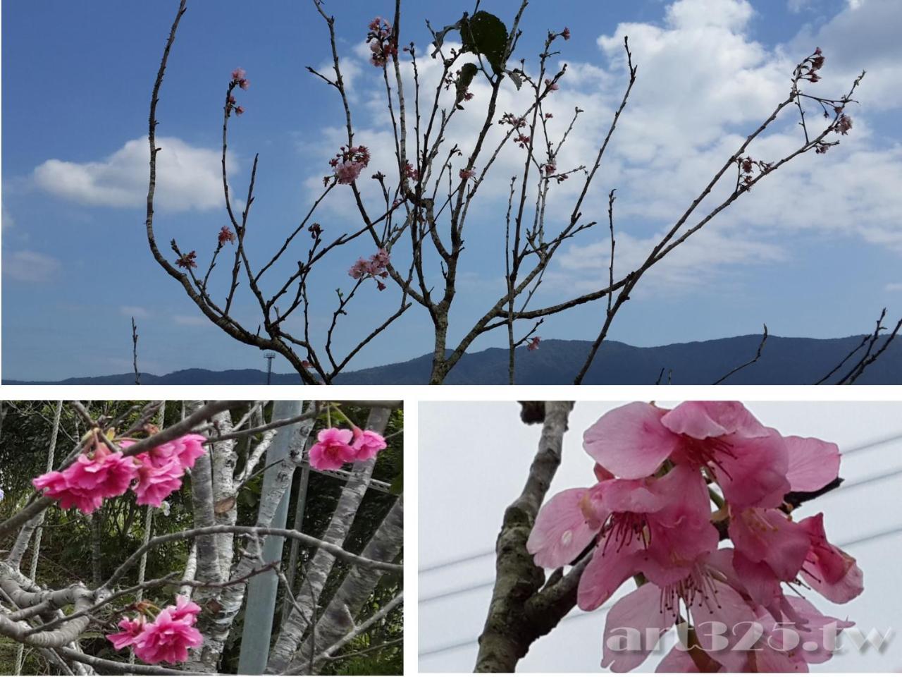 Yi Tian Homestay Fenglin Dış mekan fotoğraf