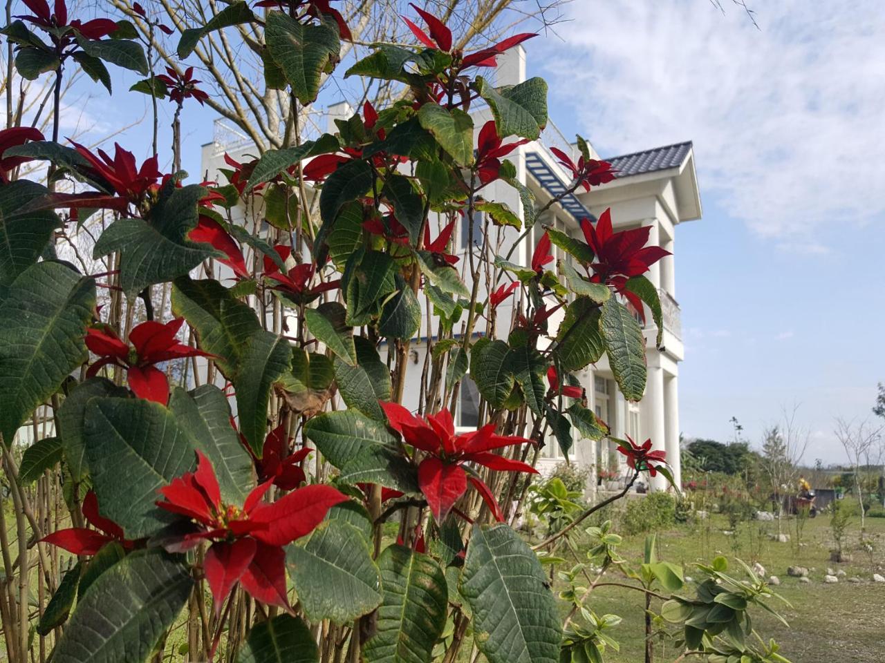 Yi Tian Homestay Fenglin Dış mekan fotoğraf