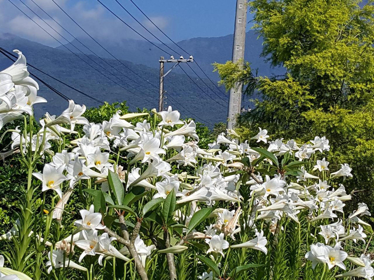 Yi Tian Homestay Fenglin Dış mekan fotoğraf